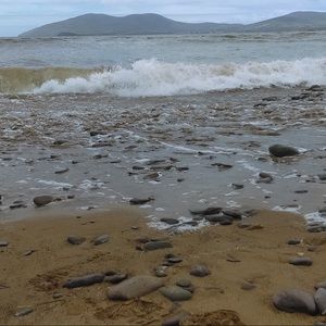 Meet your Posher, Hayden